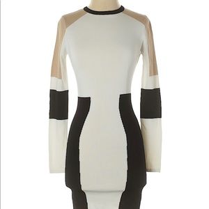 Torn by Ronny Kobo bodycon long sleeve dress